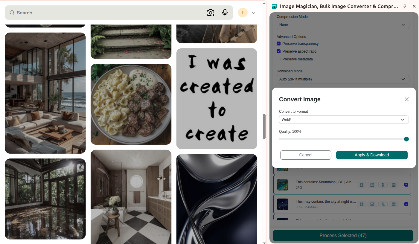 Image Magician conversion settings panel showing format and quality options